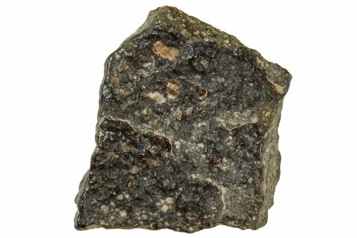 Abadla CM Chondrite Meteorite ( g) - Algeria #313050